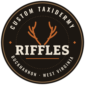 Riffles Taxidermy badge, Buckhannon, West Virginia
